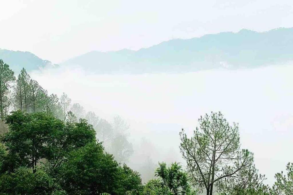 Valley Top 3 Bhk Apartment For Families & Friends Kasauli Extérieur photo